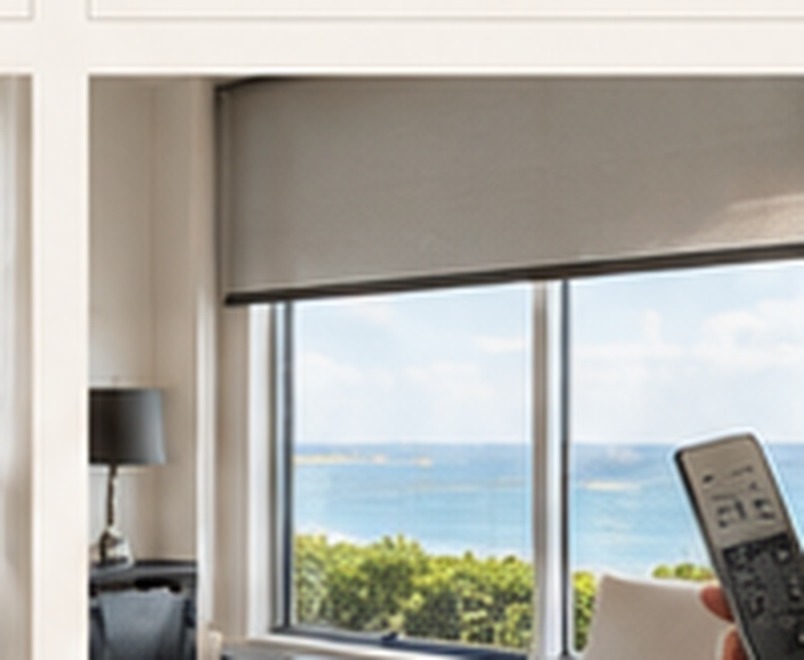 Motorization